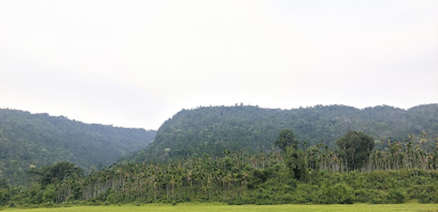 Background