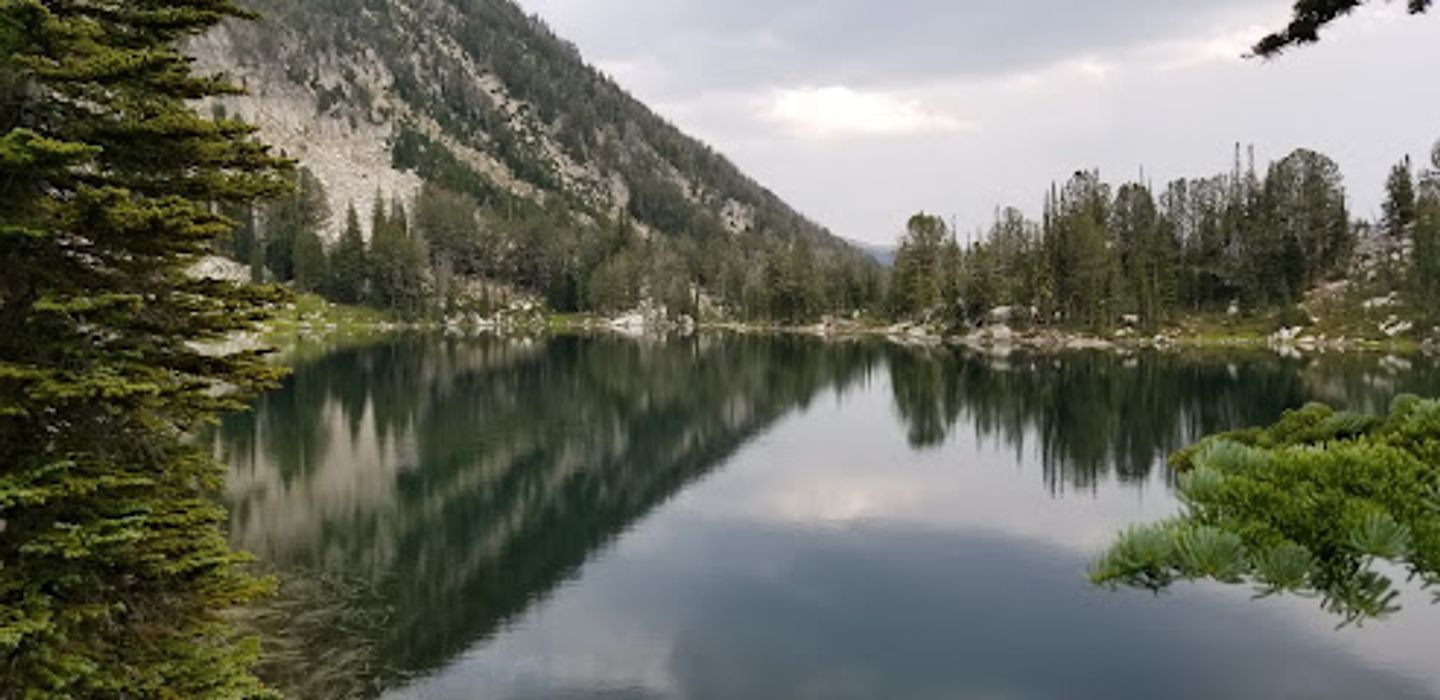 Background