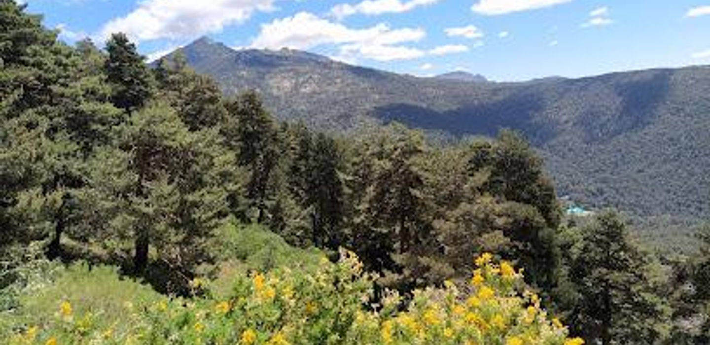Cercedilla