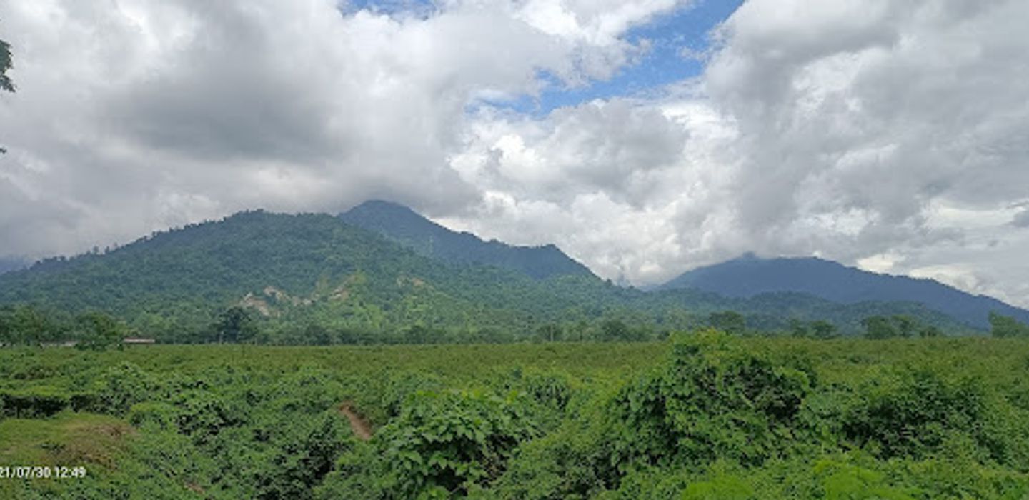 Background