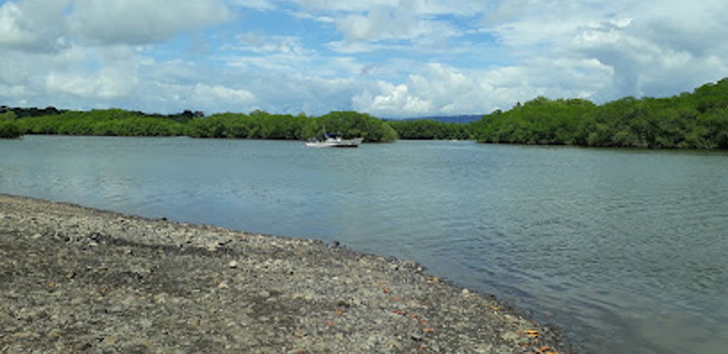 Background