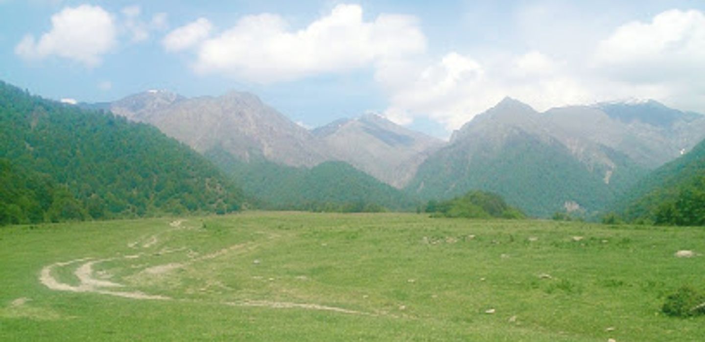 Background