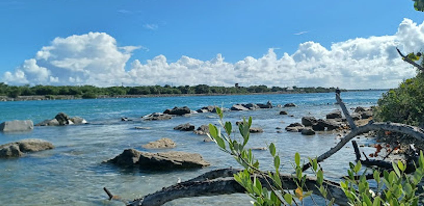 Background
