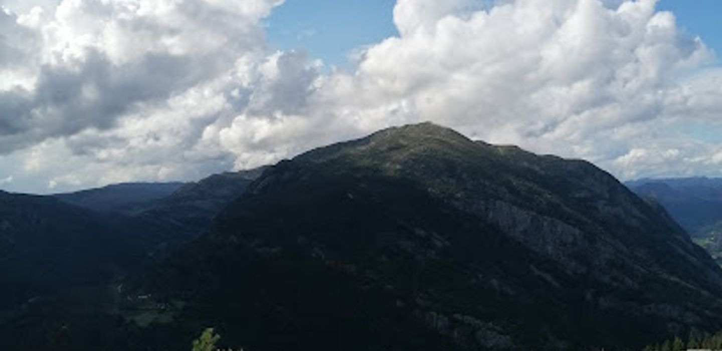 Background