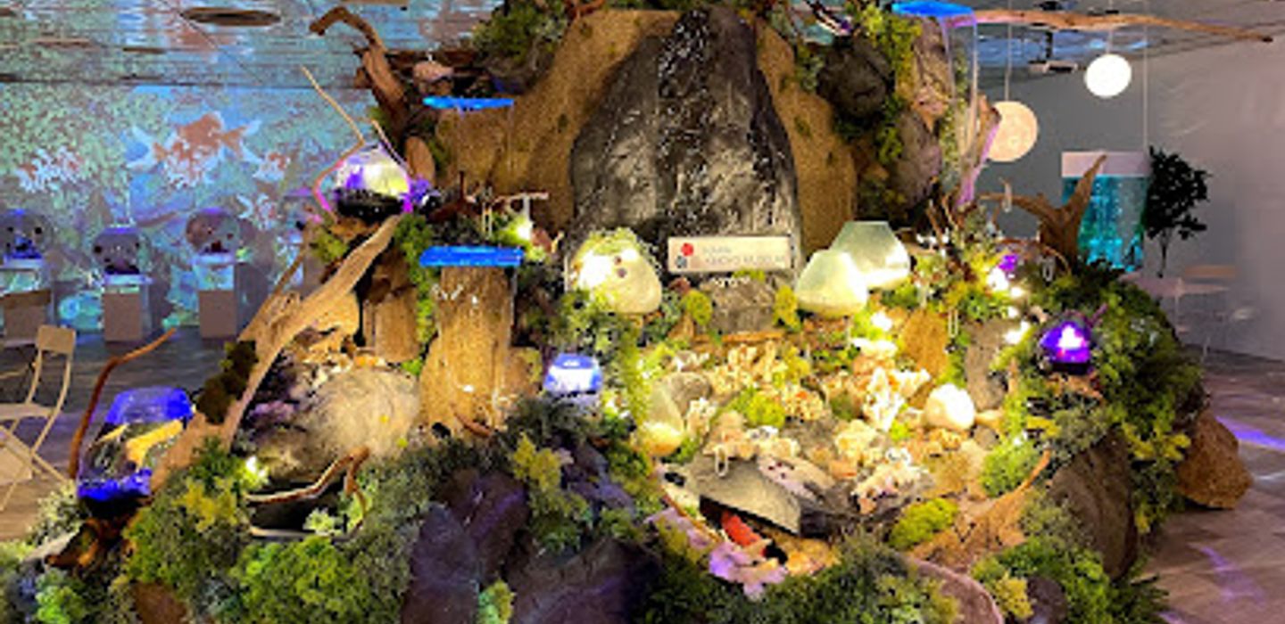 Background