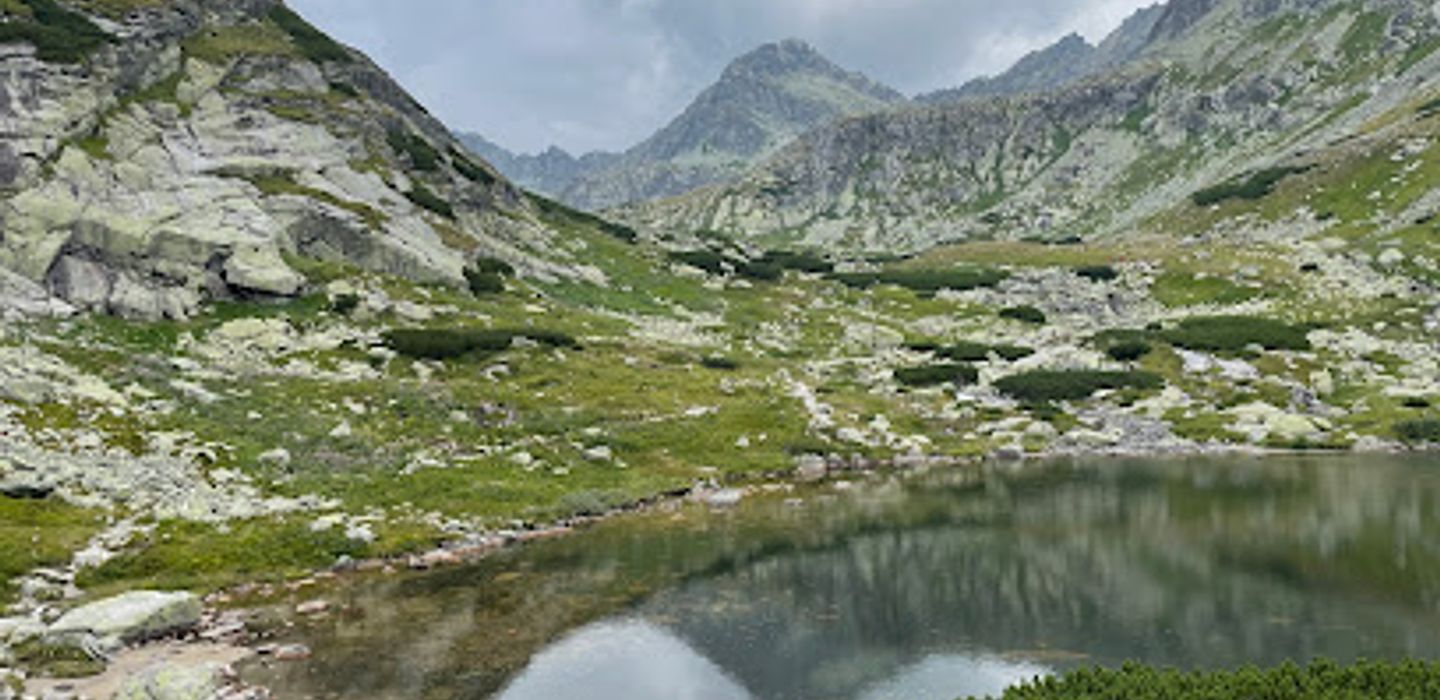 Background