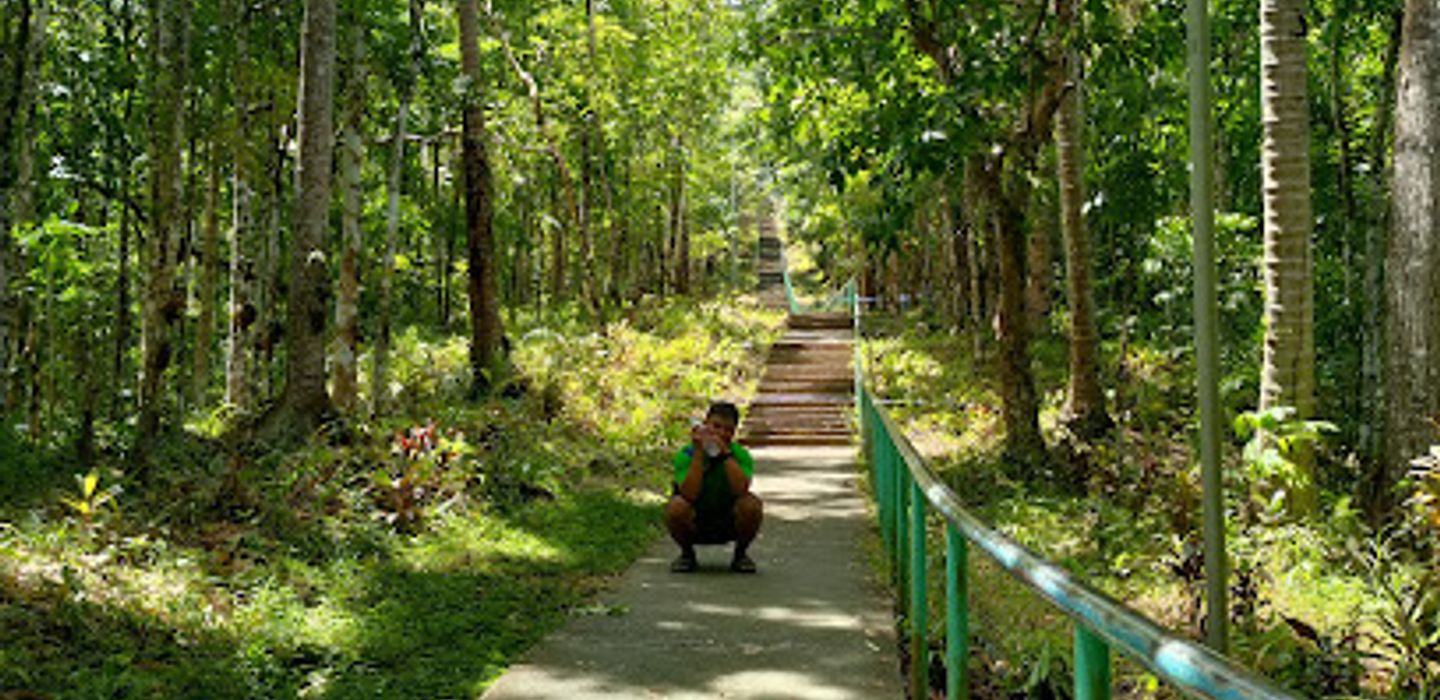 Background