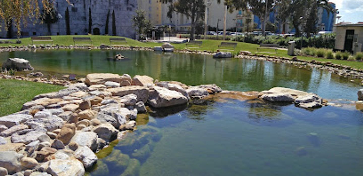 Background