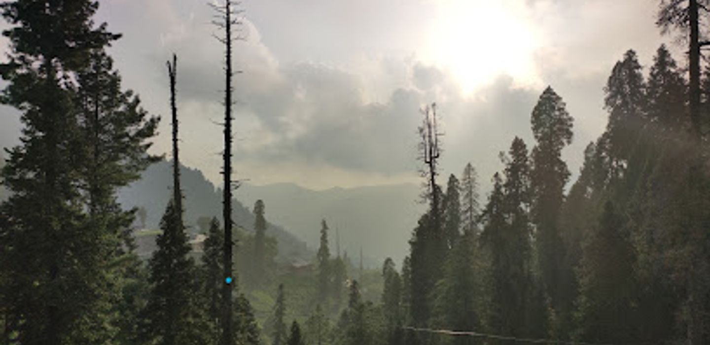 Background
