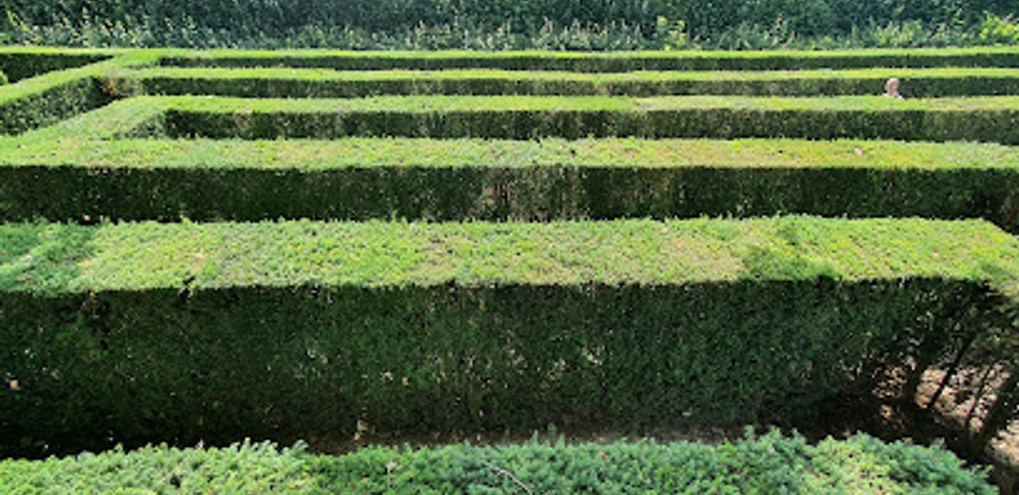 Maze