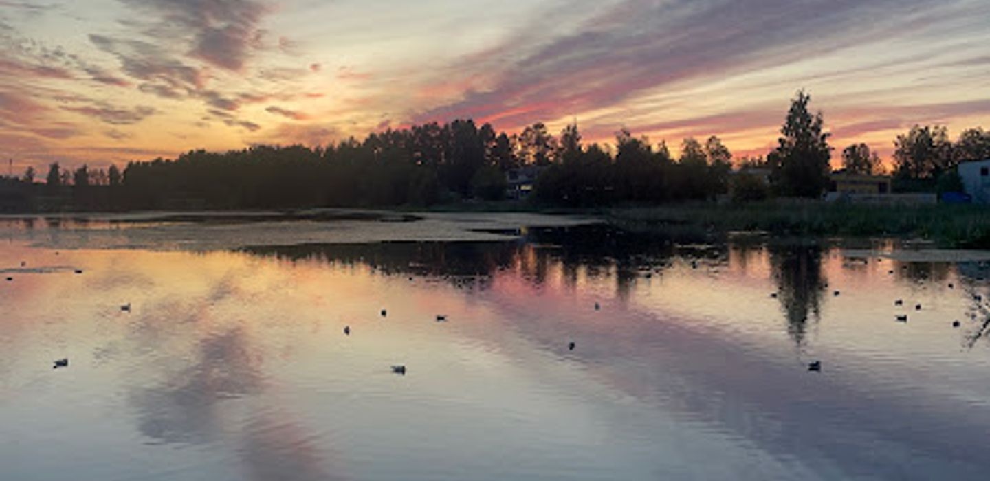 Background
