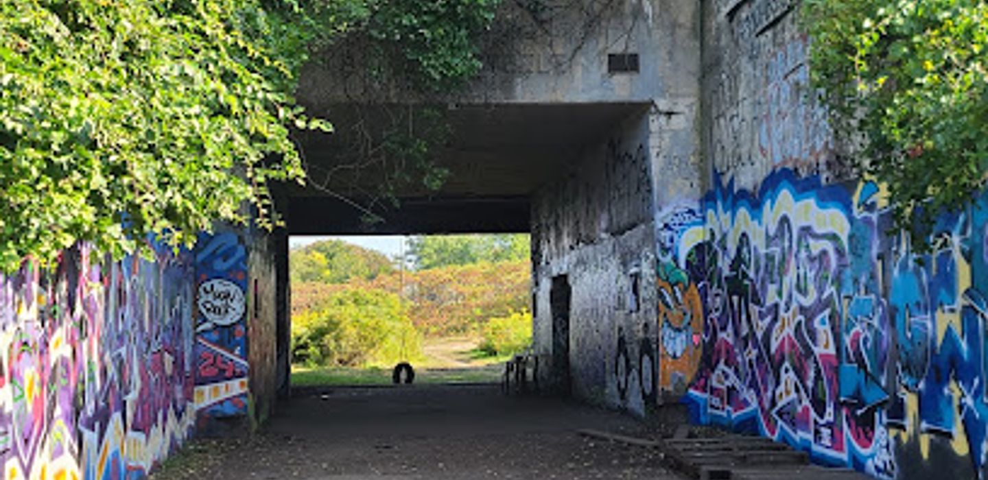 Background