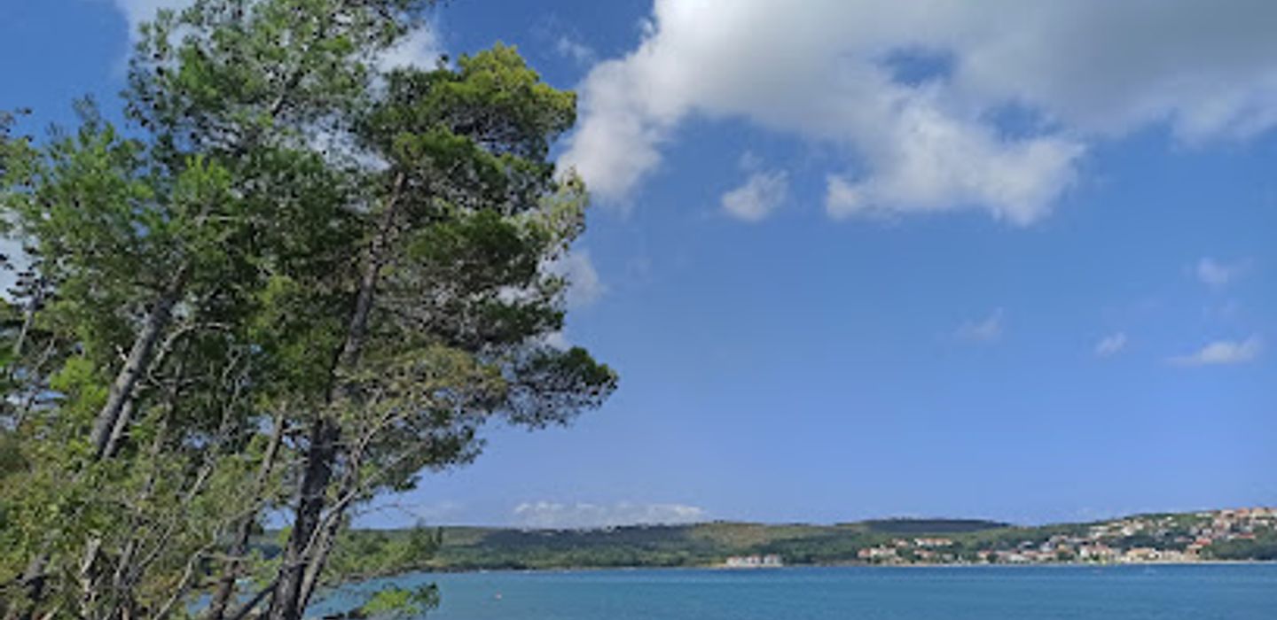 Background