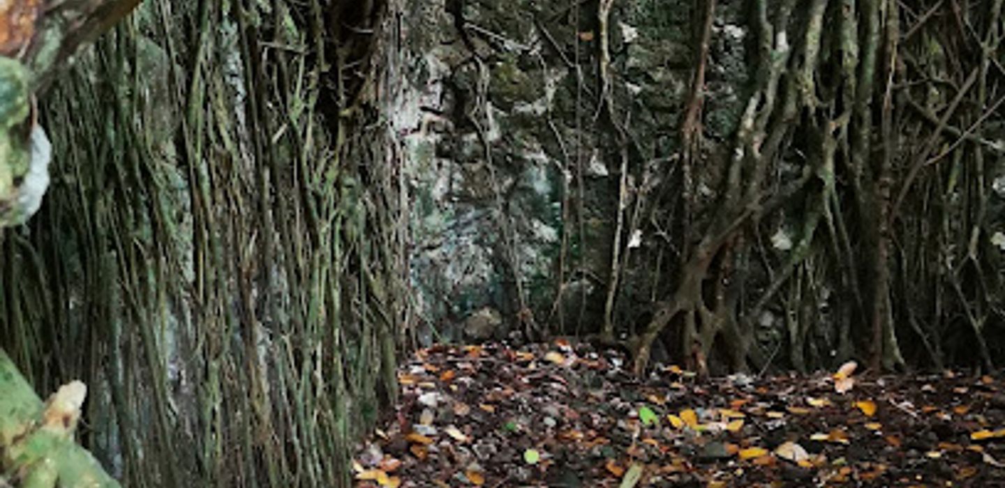 Background