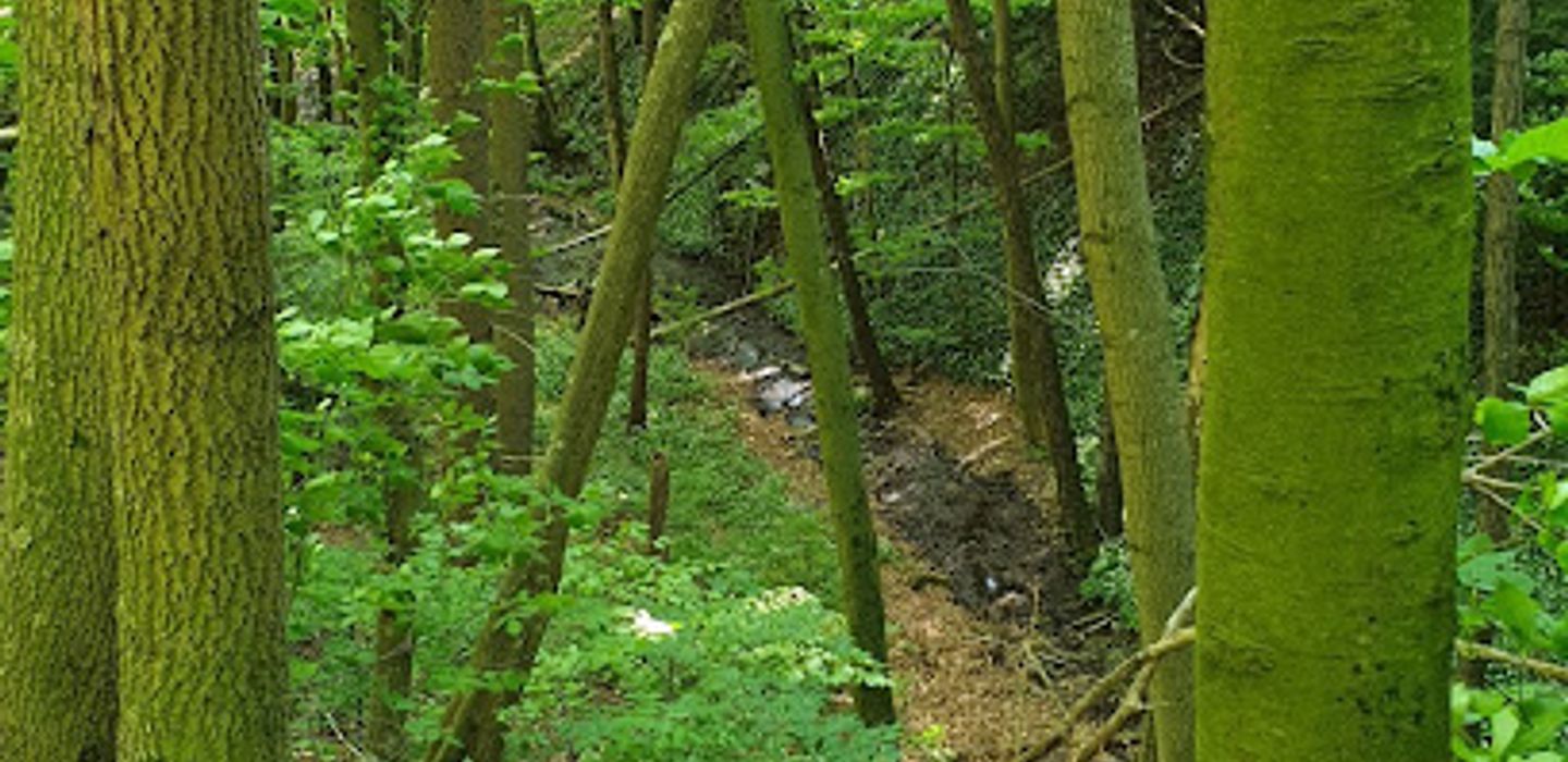 Siegenfelder Wasserfall