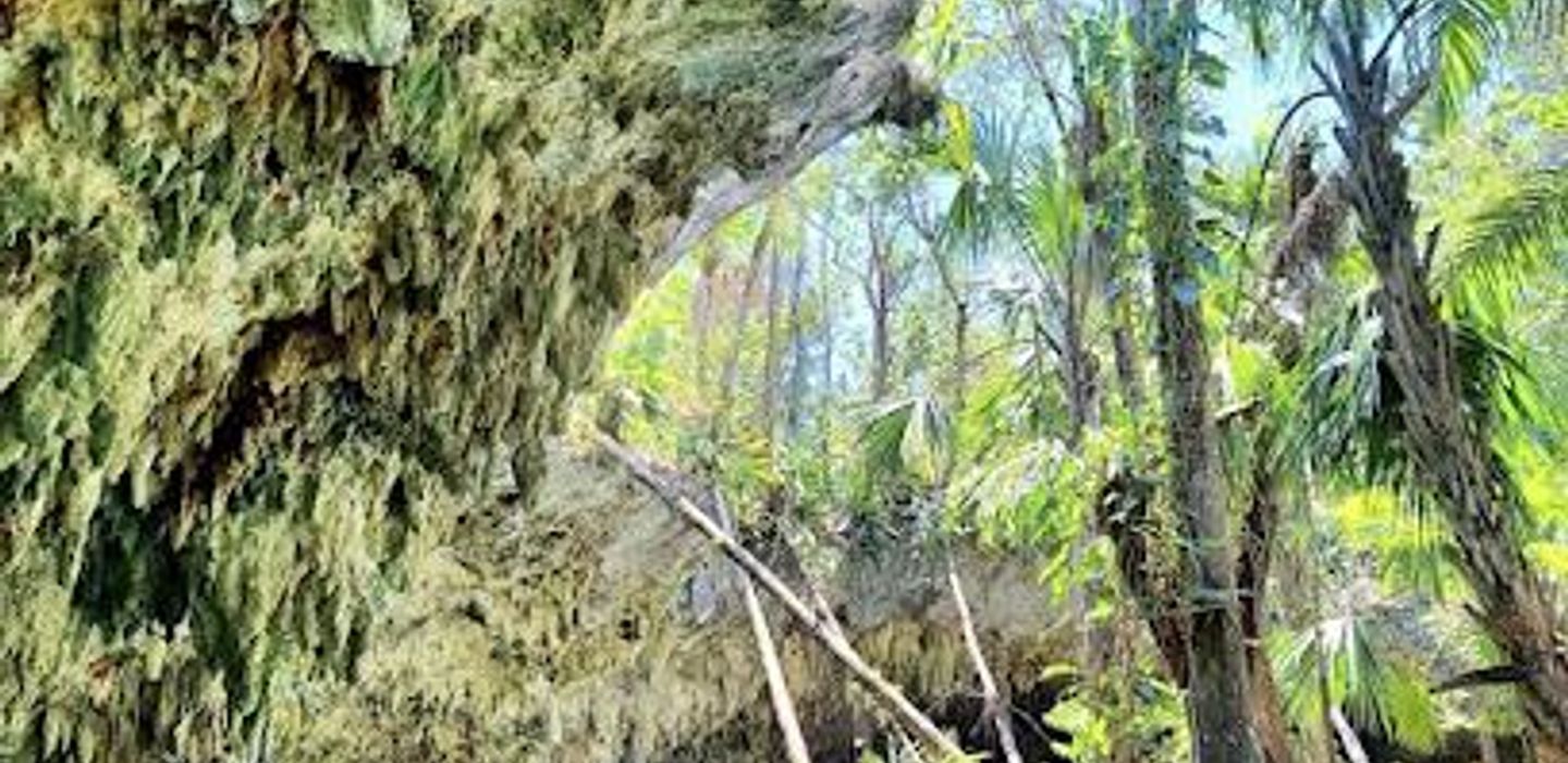 Jade Cavern Cenote Excursion
