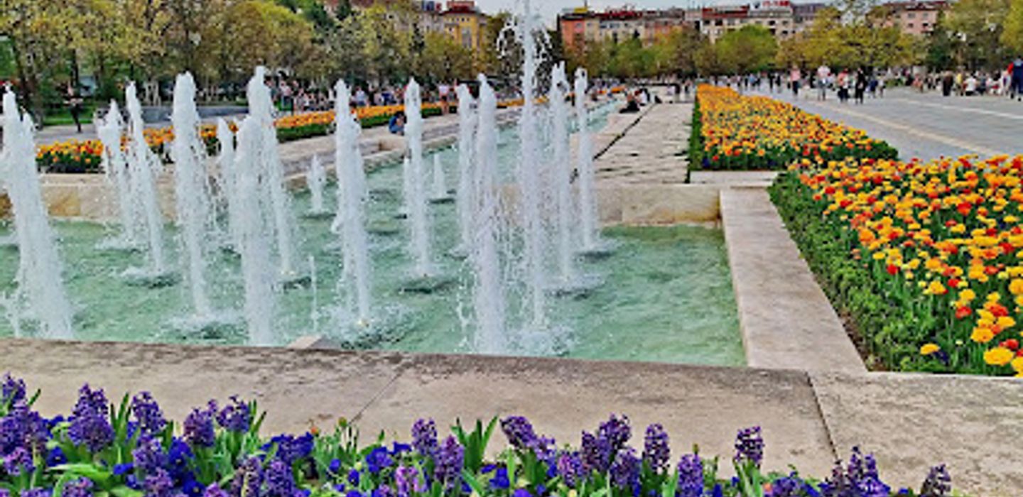 Background