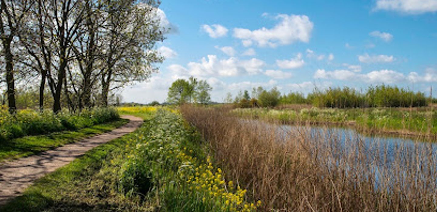 Abtswoudse Bos