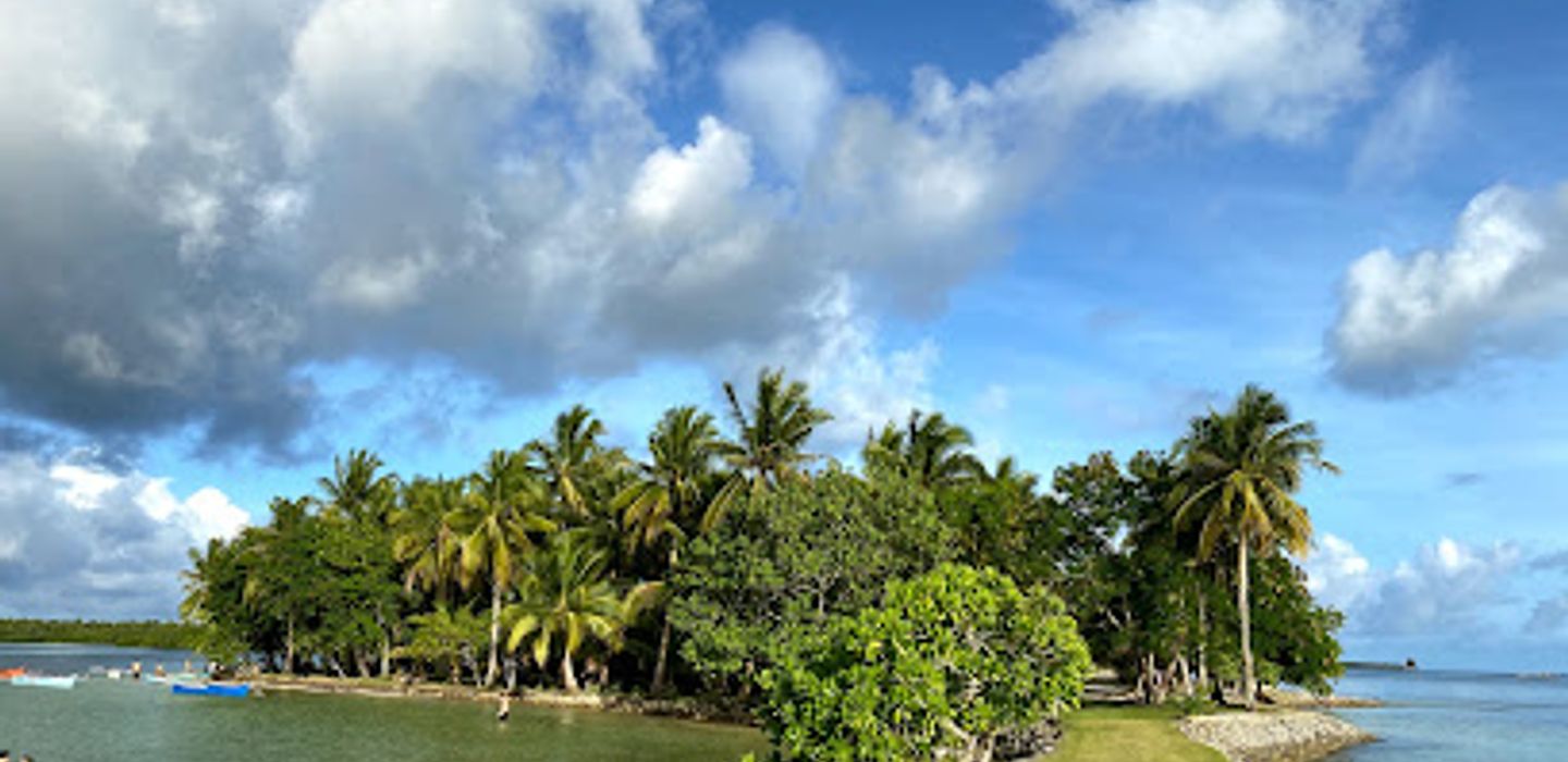 Background