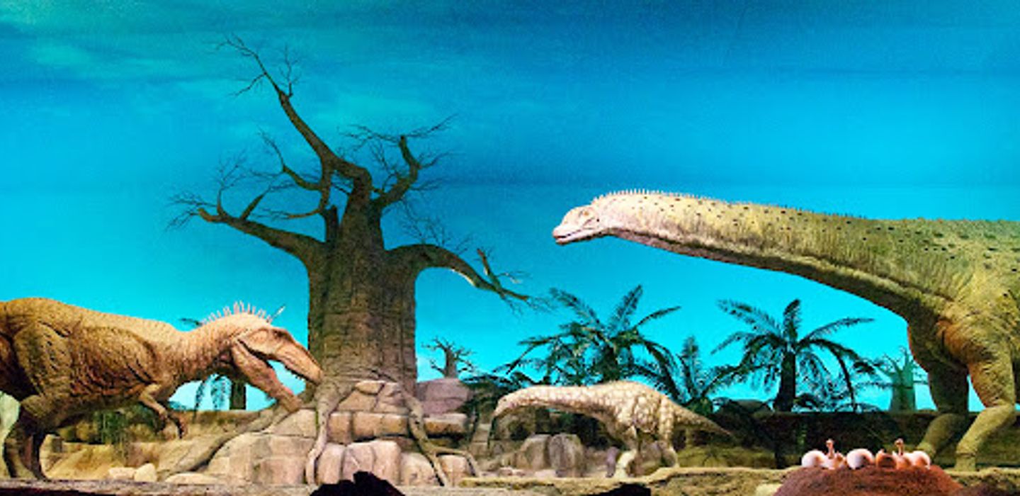 Background