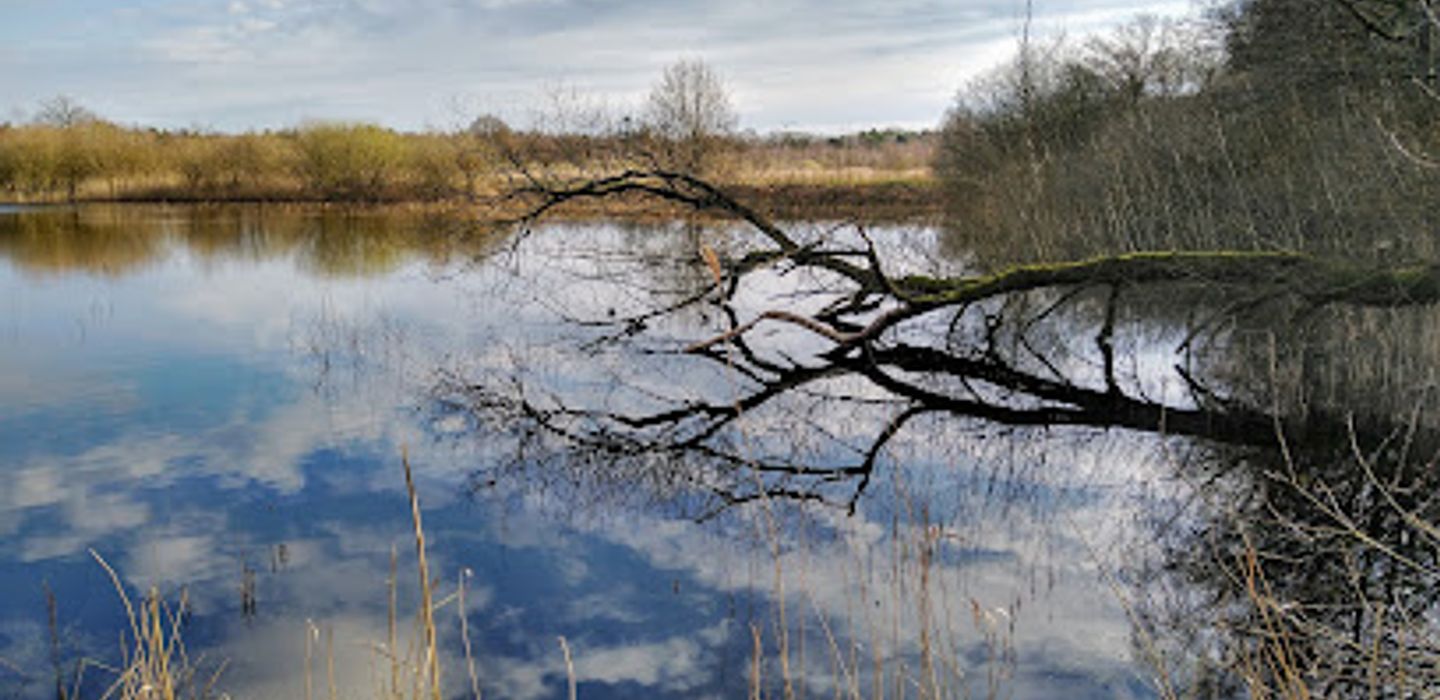 Het Wik
