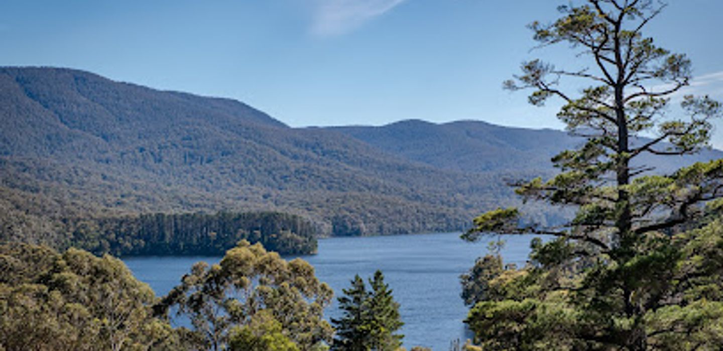 Selover's Lookout