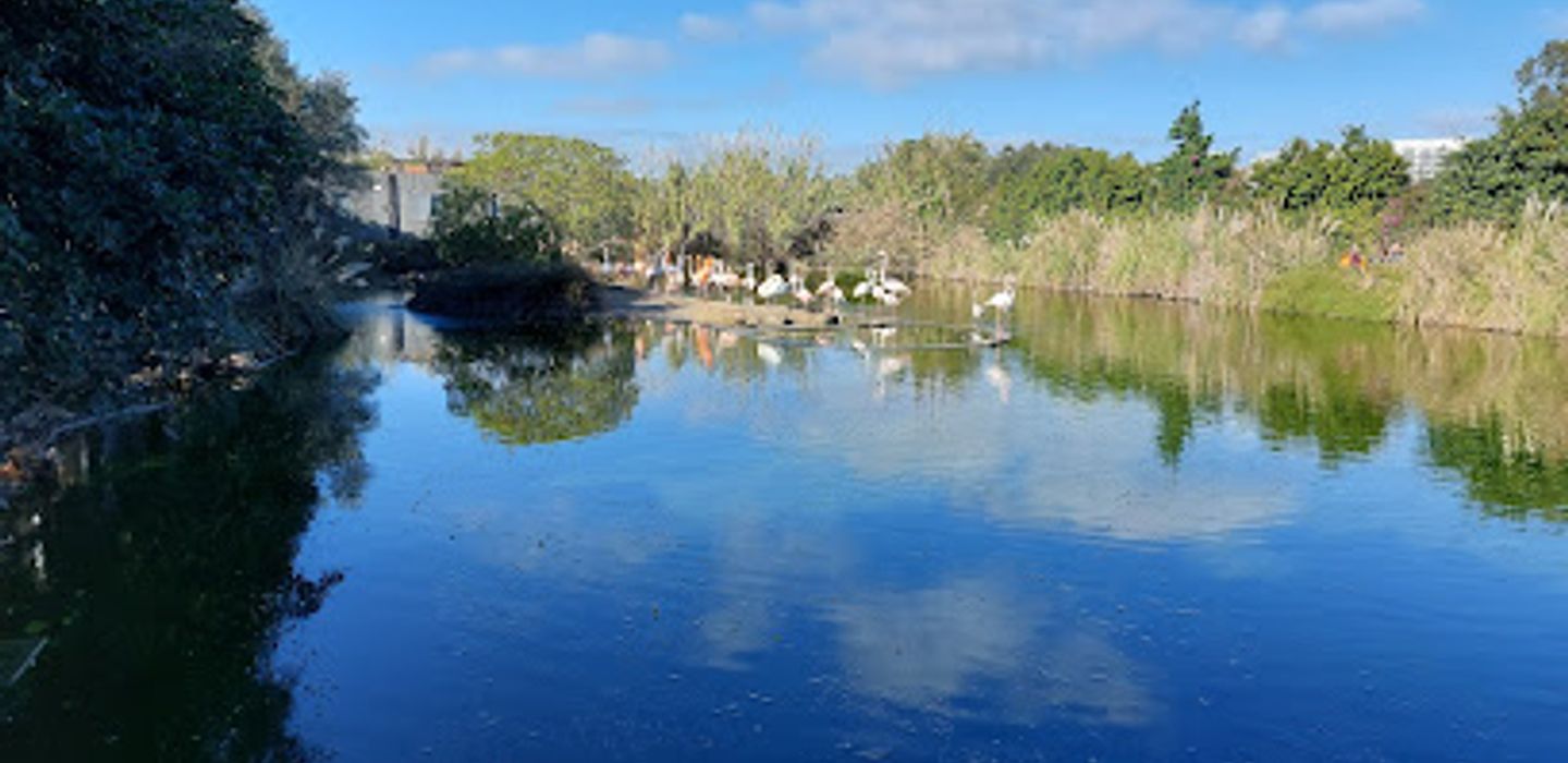 Background