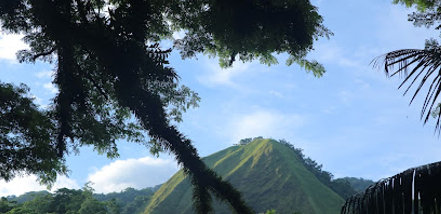 Background