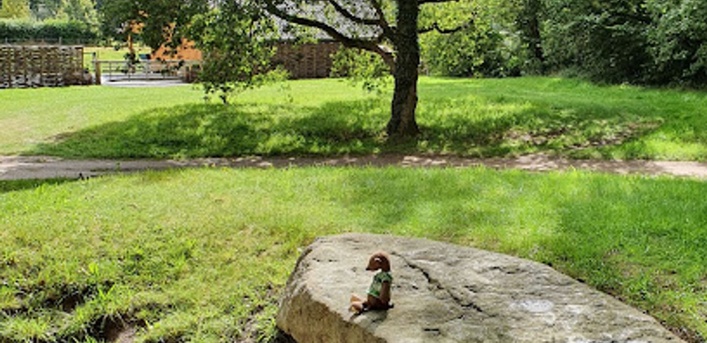 Background