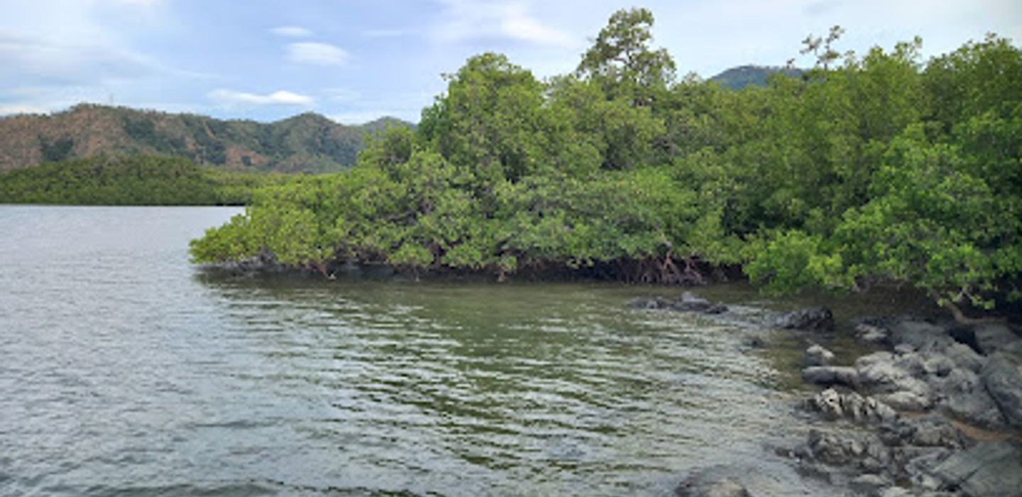 Background