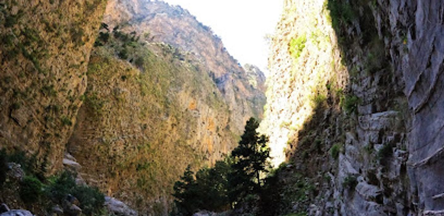 Background