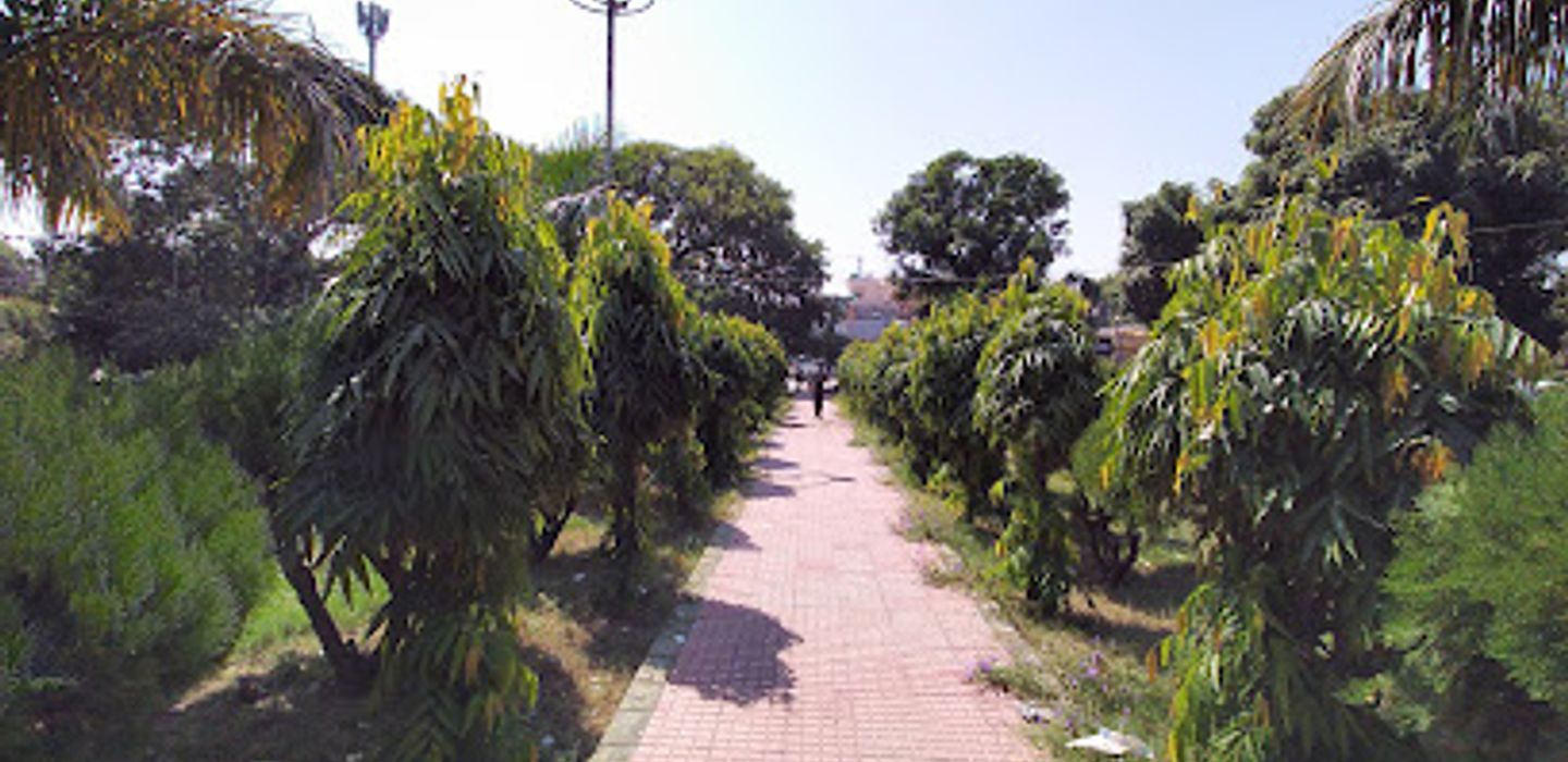 Background