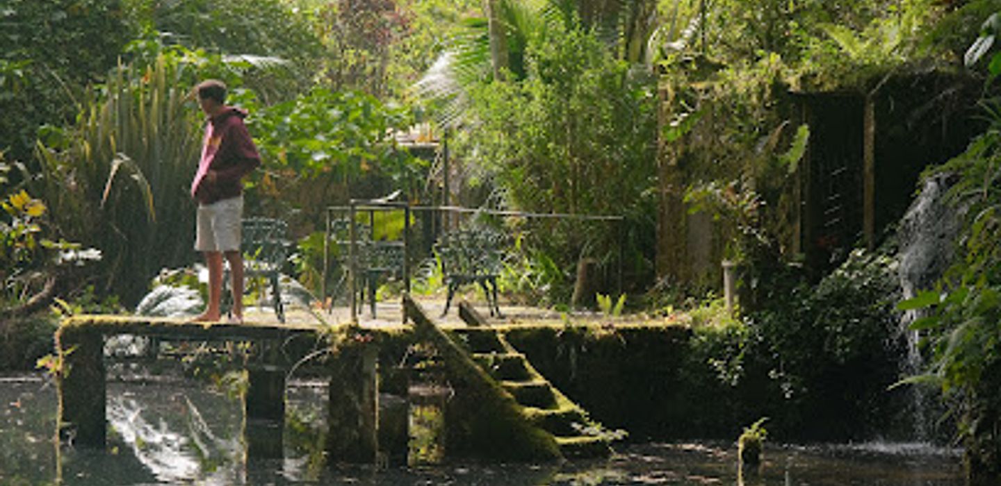 Finca Dracula