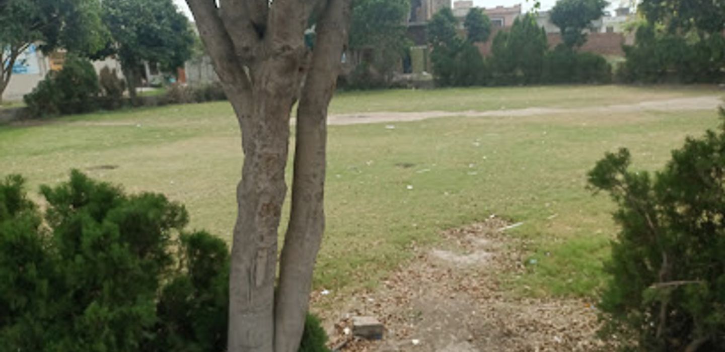 Background