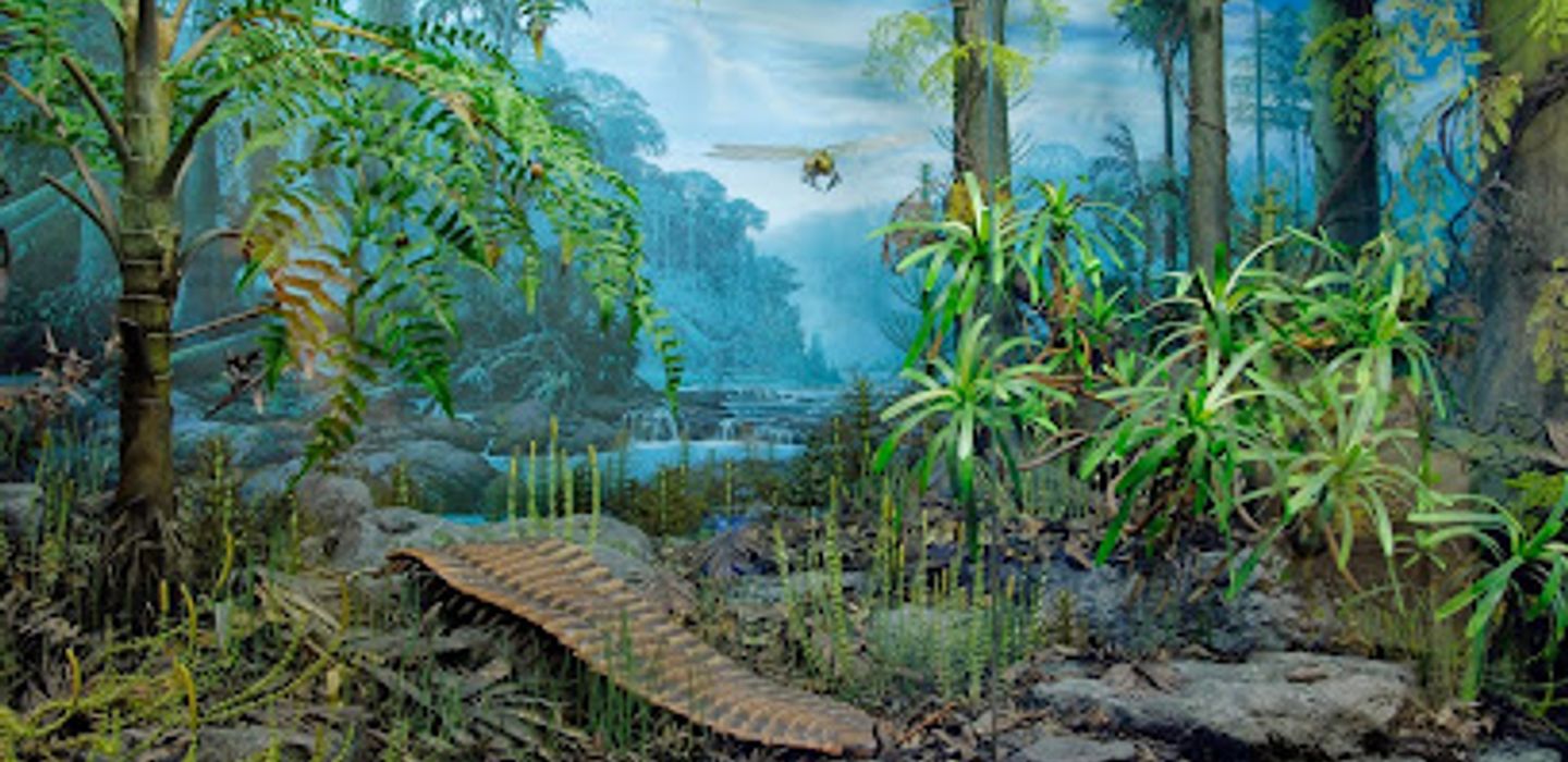 Background