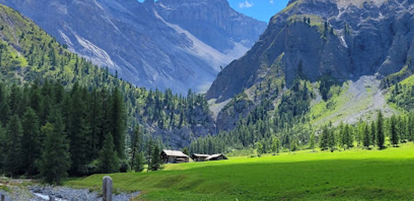 Background
