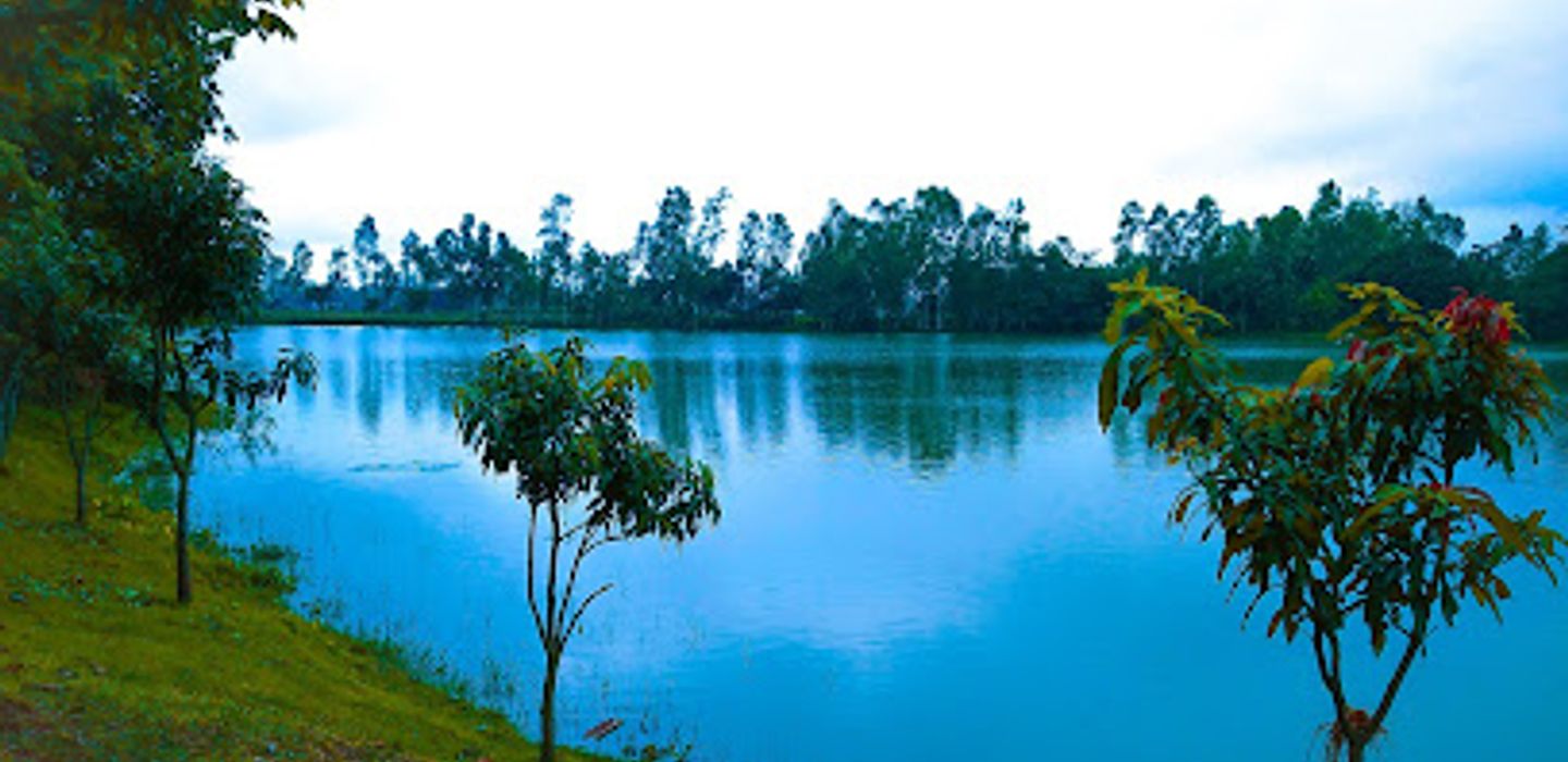 Background