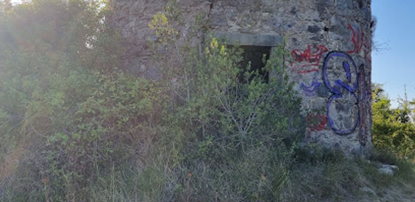 Background