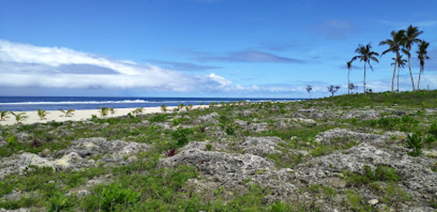 Background