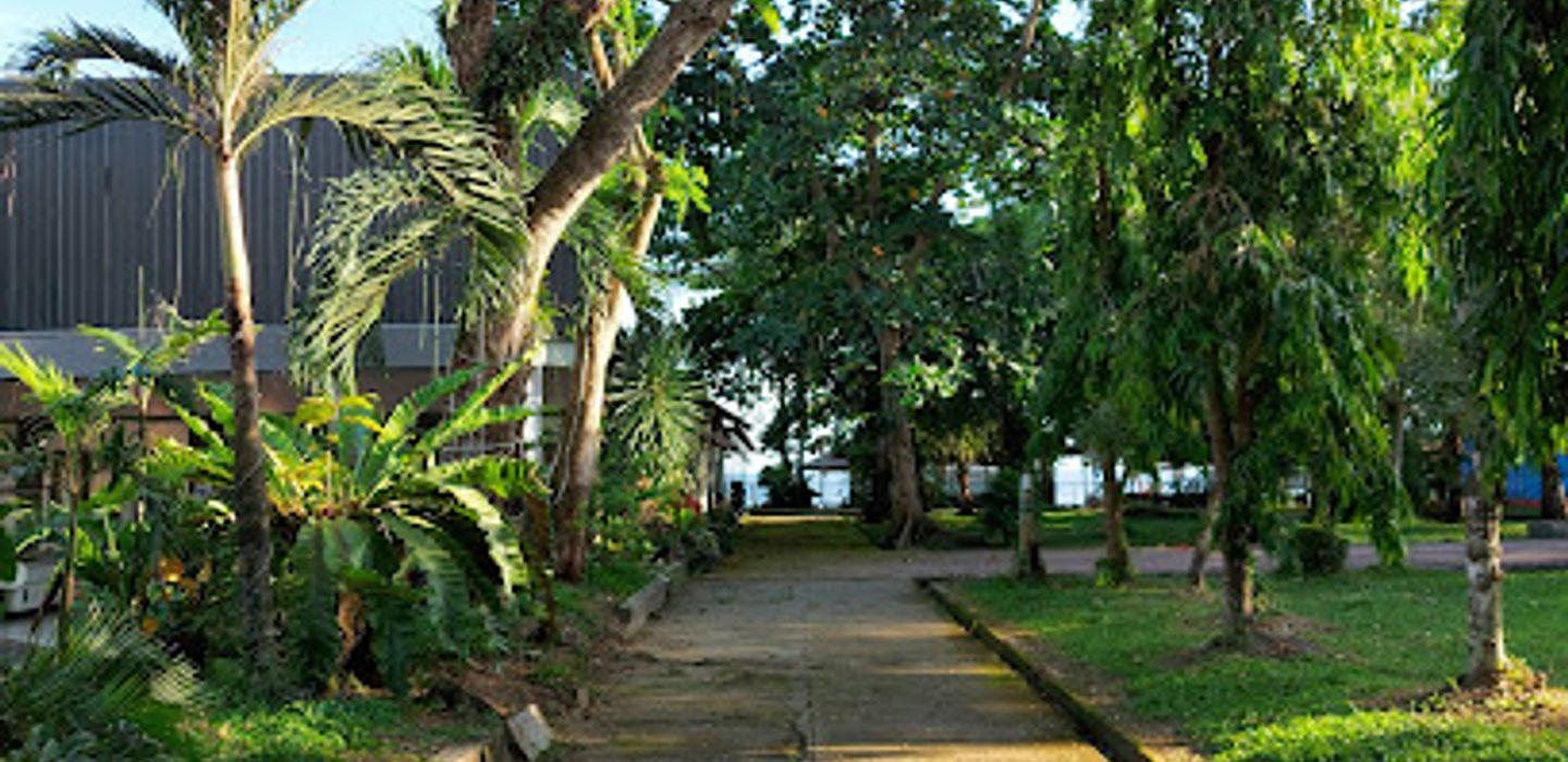 Background