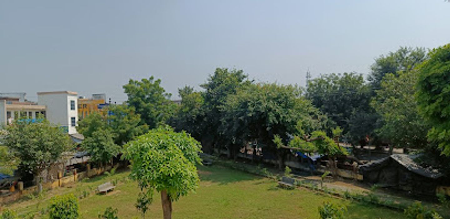 Background