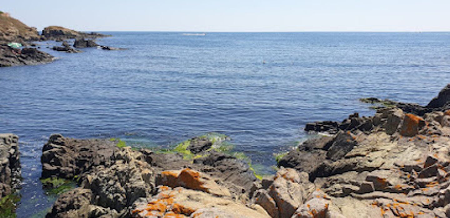 Background