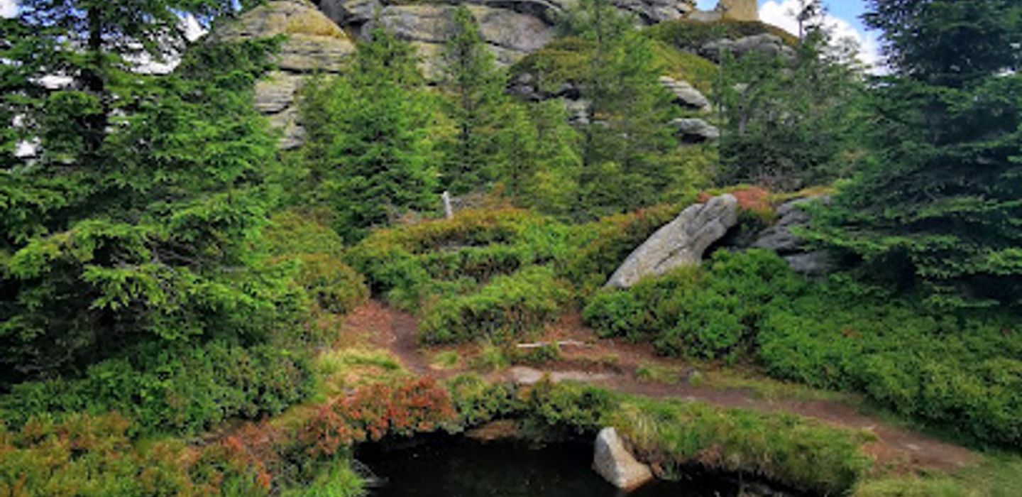 Background