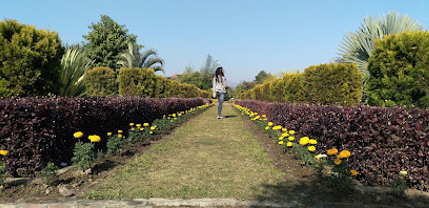 Background