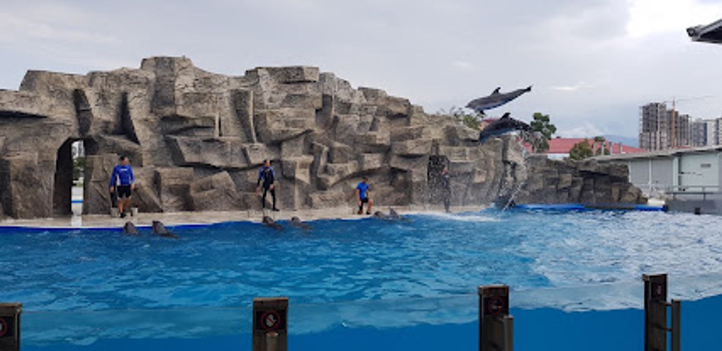Background