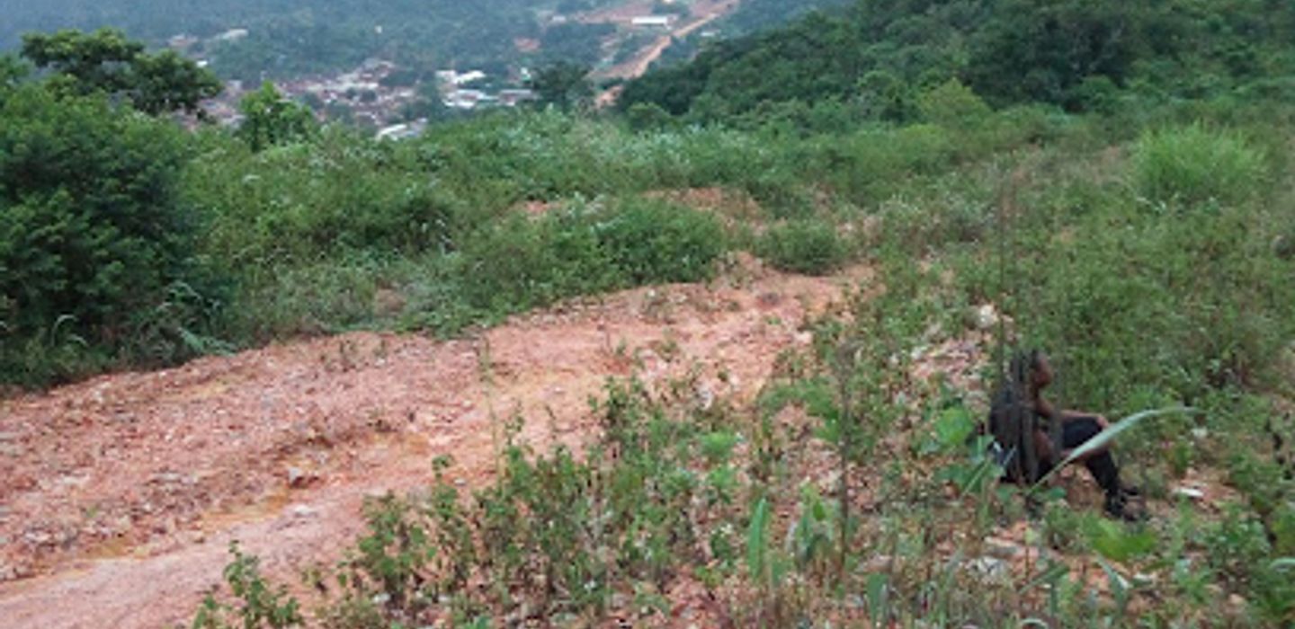 Background