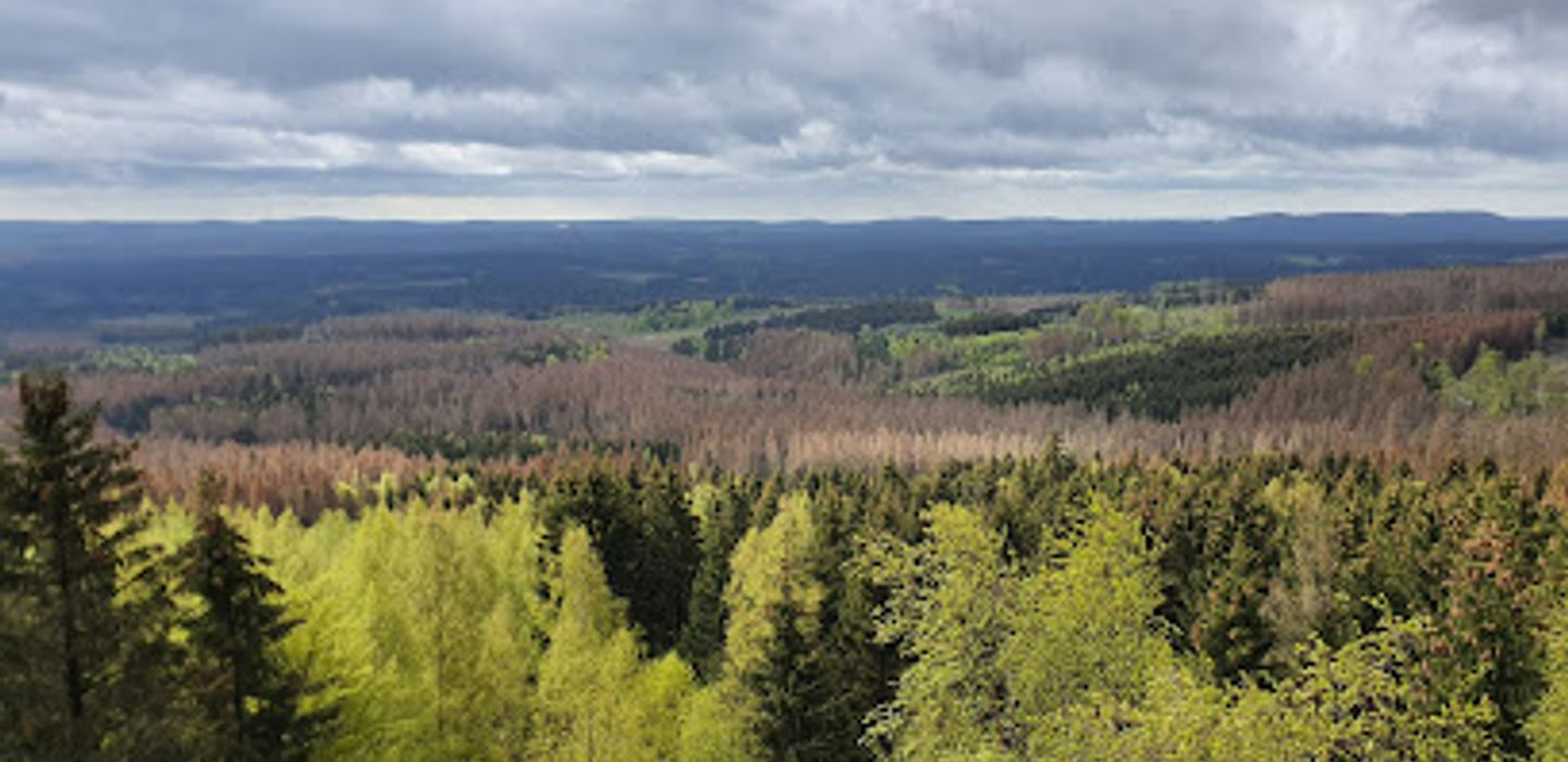 Trudenstein