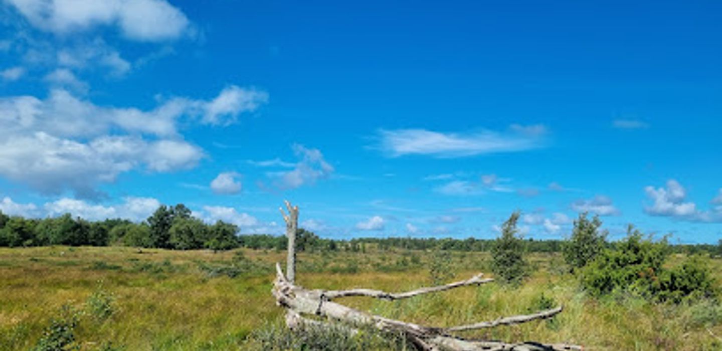Østre Foldgårdsø