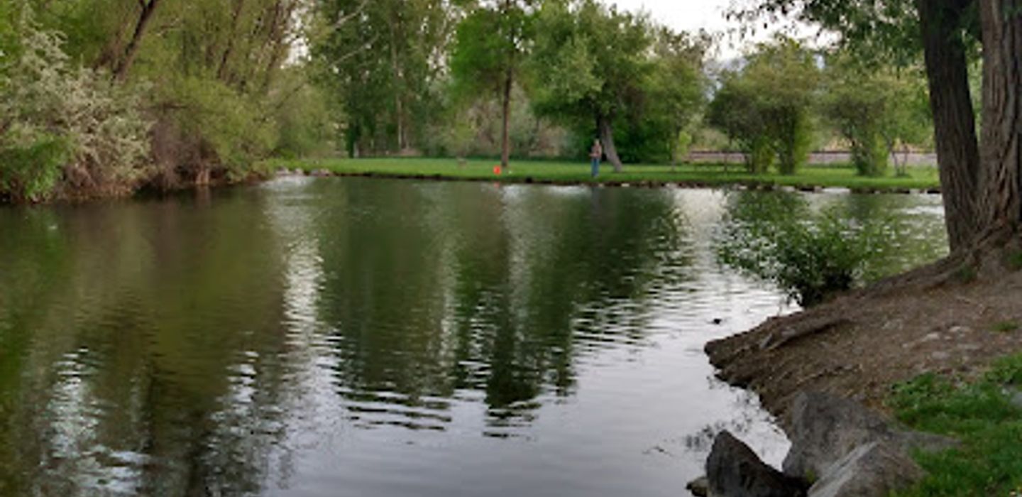Background