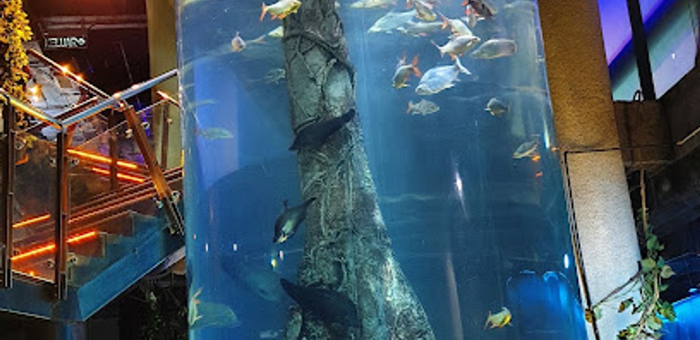 Background